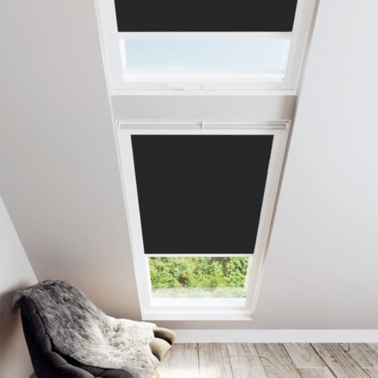 Raven Skylight