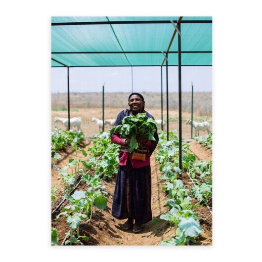 Climate Resilience Virtual Gift