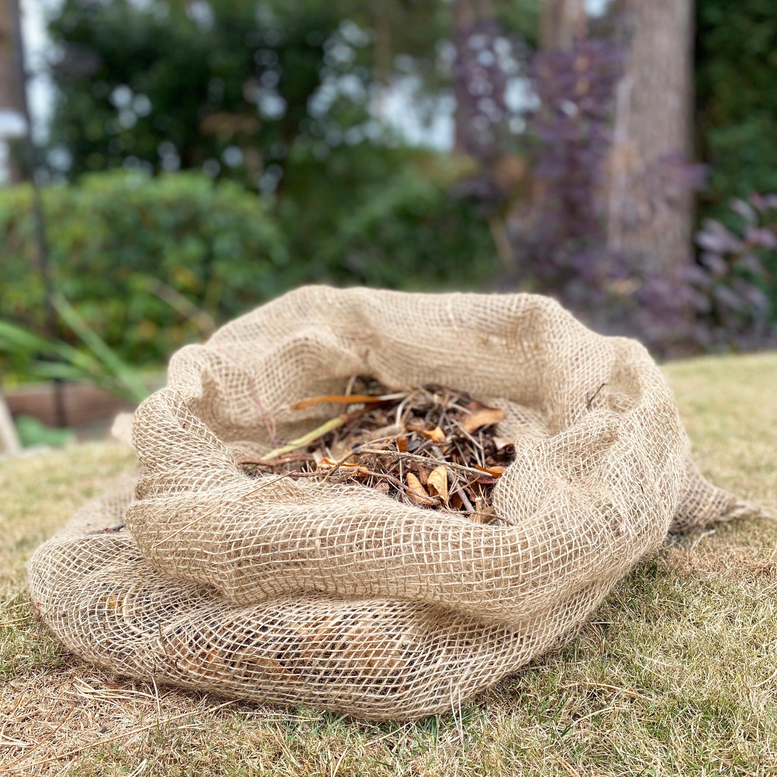 Compostable Biodegradable Leaf Mould Sacks Bags - Pack of 10