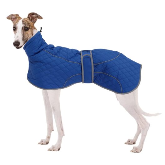 Dog Winter Coat Fleece Lined - Blue Plaid XL