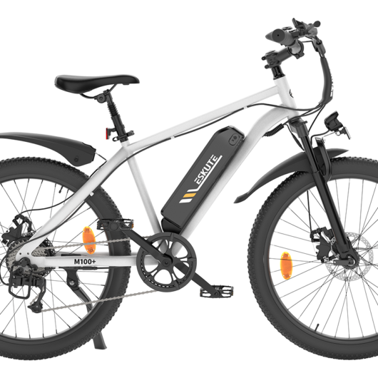 M100+ 2025 Electric Mountain Bike