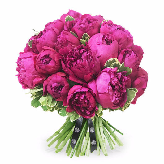 Peony Perfection - 18 Stems