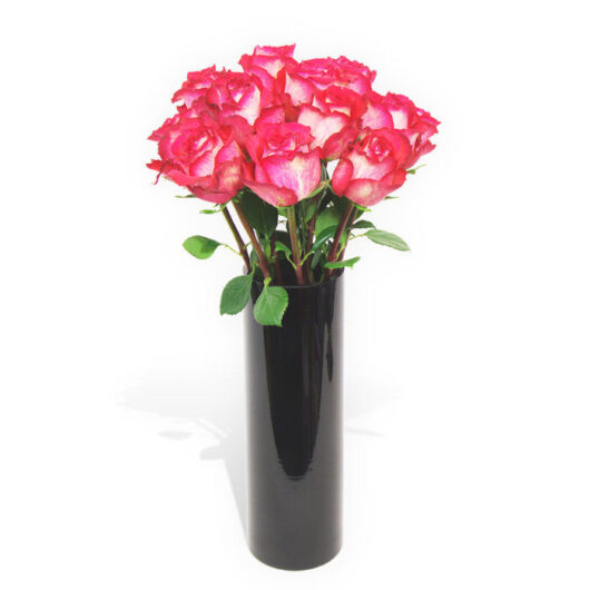 Pink Roses - 12 Stems