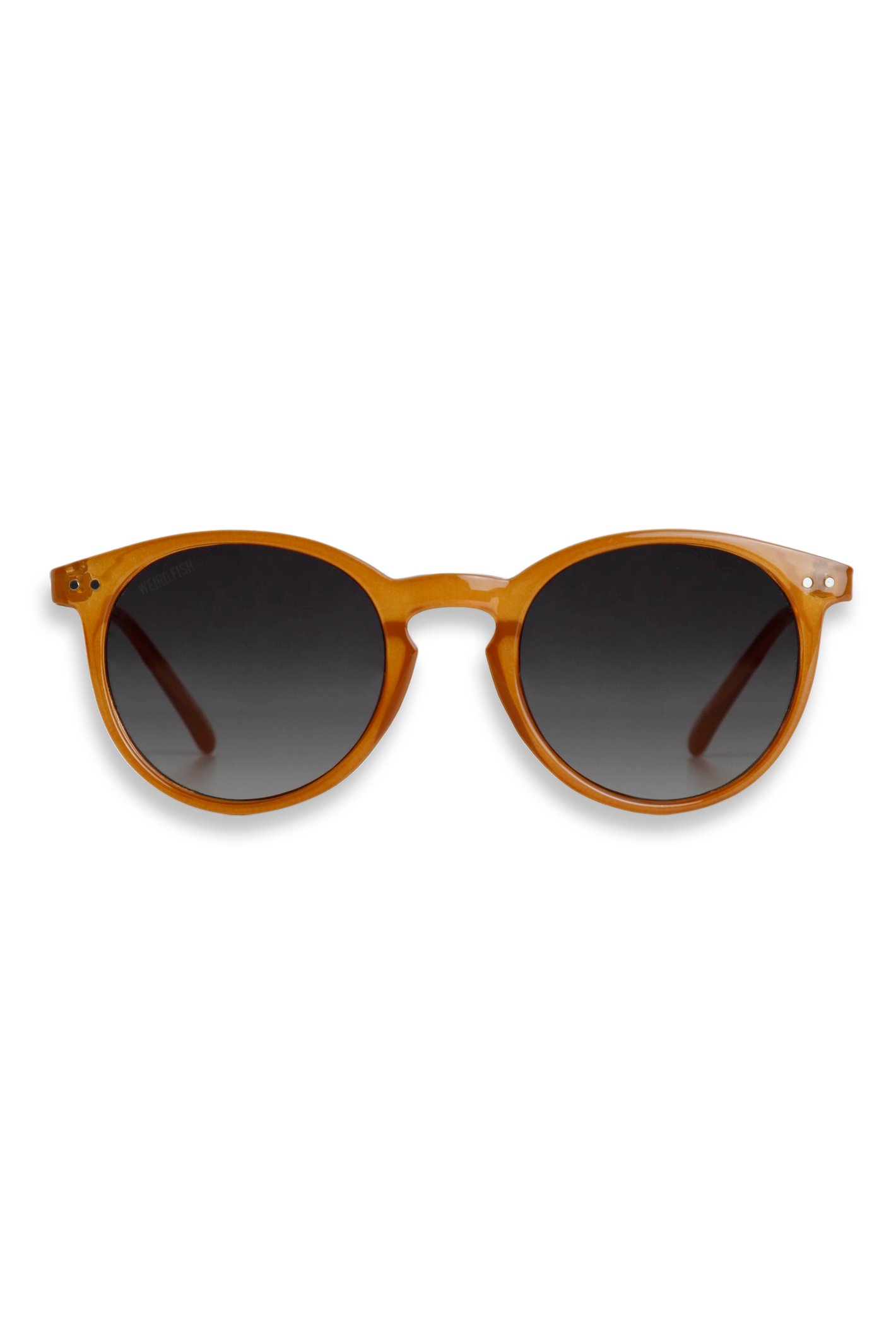 Weird Fish Williams Round Sunglasses Mustard Size ONE